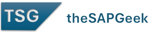 THE SAP GEEK